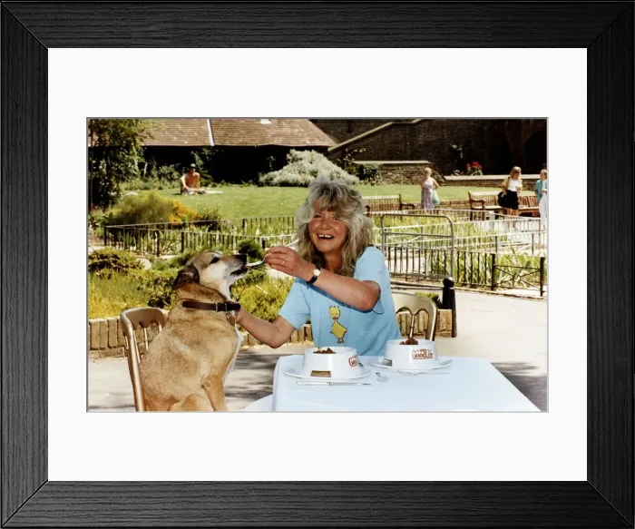 Framed Print : Jilly Cooper author, journalist & enterpreneur at photocall to launch a new dog food Framed Print : Jilly Cooper author, journalist & enterpreneur at photocall to launch a new dog food