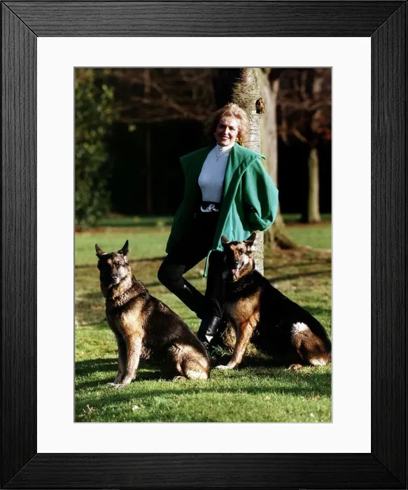 Framed Print : Rosemary Conley UK diet & fitness expert poses for a photograph while exercising her pet Framed Print : Rosemary Conley UK diet & fitness expert poses for a photograph while exercising her pet