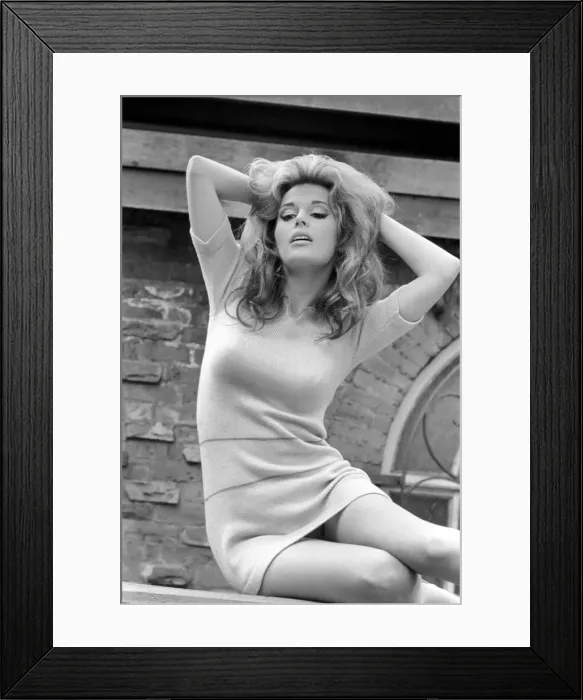 Framed Print : 24 year old Mariana Hill, 5 4'tall, dark brown eyes, and long light brown hair Framed Print : 24 year old Mariana Hill, 5 4'tall, dark brown eyes, and long light brown hair