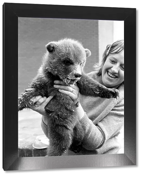 Twin Brown Bears. March 1975 75-01620-006