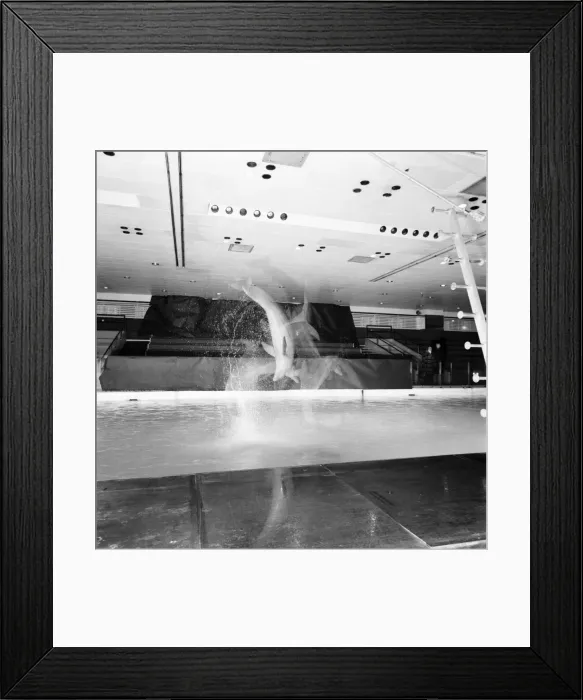 Framed Print : Brightones Dolphinarium: Baby the youngest dolphin at Brightones Dolphinarium was Framed Print : Brightones Dolphinarium: Baby the youngest dolphin at Brightones Dolphinarium was