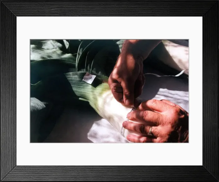 Framed Print : A judge measuring one of the gigantic prize winning leeks in September 1997