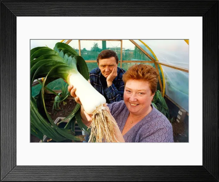 Framed Print : A jubilant Patricia Hall with husband Tom at their Blyth allotment Framed Print : A jubilant Patricia Hall with husband Tom at their Blyth allotment