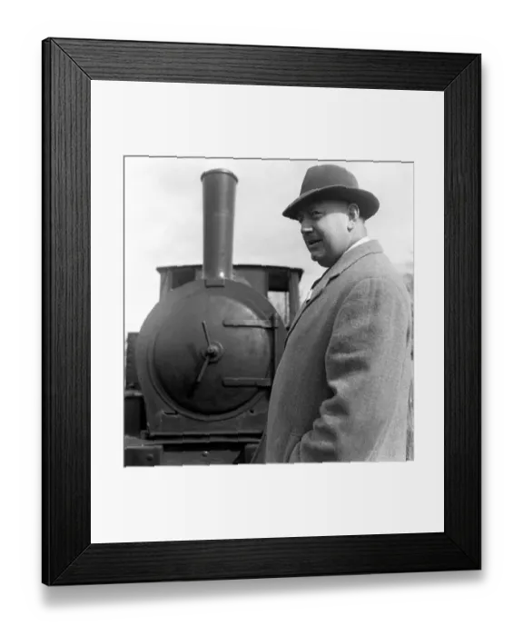 Framed Print : Over-inflated, out of place and too expensive. No, not Dr