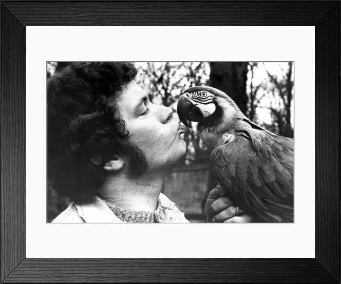 Framed Print : Keeper Peter Beard with jackie the macaw at Lambton Pleasure Park in January 1980