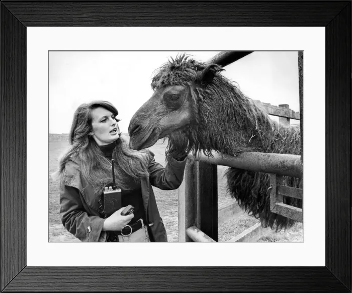Framed Print : Head warden at Lambton Pleasure Park Robin Haig gets up close Framed Print : Head warden at Lambton Pleasure Park Robin Haig gets up close