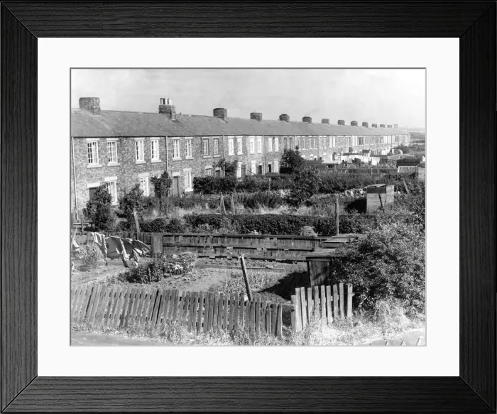 Framed Print : Clifton Row in Netherton, Northumberland, pictured for a Journal special feature Framed Print : Clifton Row in Netherton, Northumberland, pictured for a Journal special feature