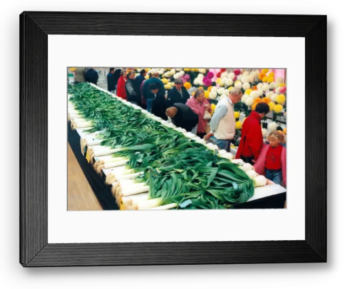 Framed Print : One of the many leek and flower shows that take place in the North East in September 1998 Framed Print : One of the many leek and flower shows that take place in the North East in September 1998