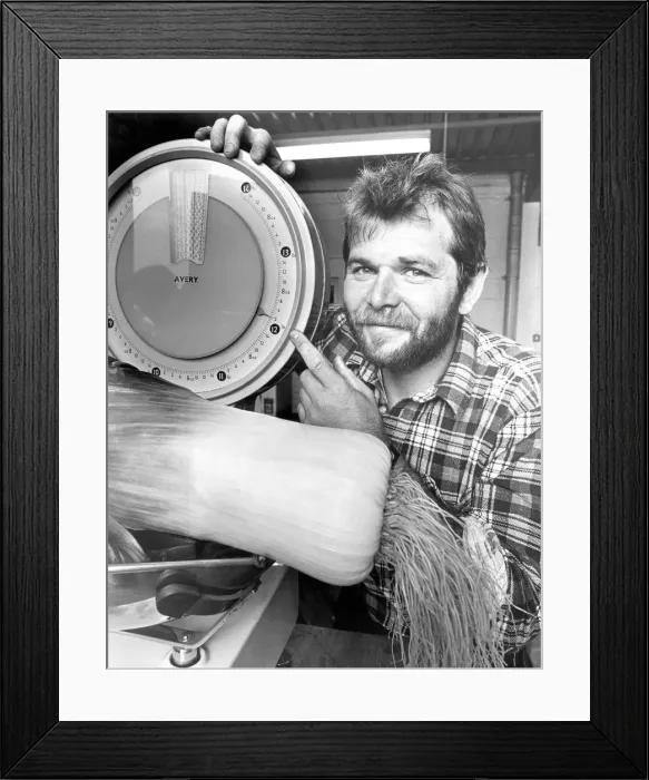 Framed Print : Gardener Paul Harrigans facination with growing giant vegetables clinched him a Framed Print : Gardener Paul Harrigans facination with growing giant vegetables clinched him a