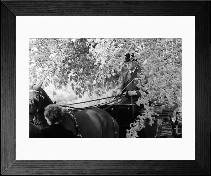 Framed Print : Prince Philip, Duke of Edinburgh, at the Royal Windsor Horse Show