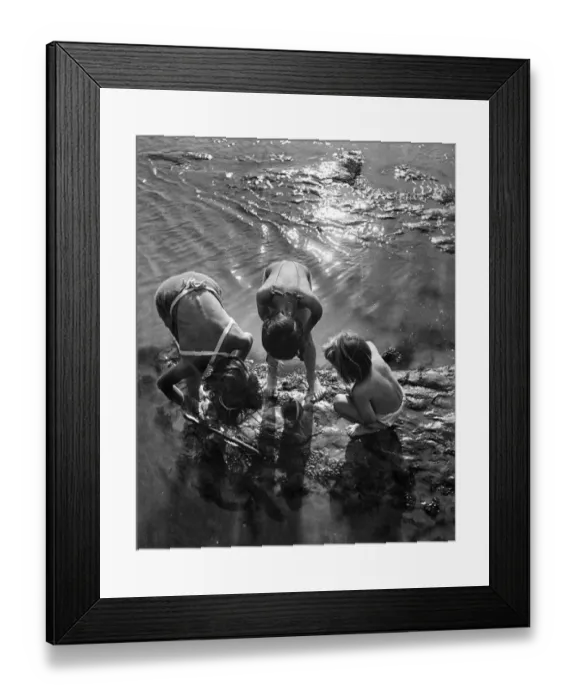 Framed Print : Child shrimpers on holiday in Bexhill on Sea 31st July 1949 Framed Print : Child shrimpers on holiday in Bexhill on Sea 31st July 1949