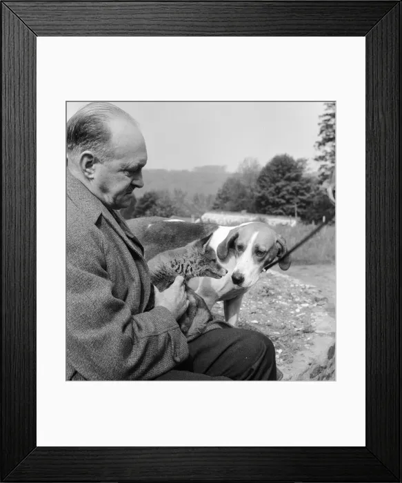 Framed Print : Vicky the fox cub and Sheba the fox hound dog at Barons Down near Dulverton in Somerset