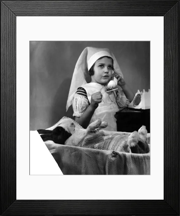 Framed Print : Playing Doctors & Nurses, a young girl looks after her sick patient, a Blue Dutch rabbit
