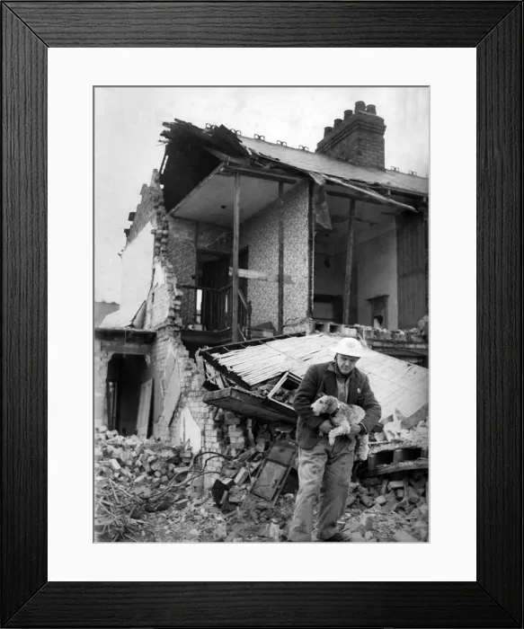 Framed Print : Mr. Sydney Colman tends to an injured wire haired terrier after air raid on north east Framed Print : Mr. Sydney Colman tends to an injured wire haired terrier after air raid on north east