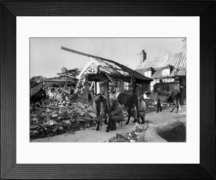 Framed Print : Farm with bomb damage at Allington near Chippenham, Wilts October 1940 Framed Print : Farm with bomb damage at Allington near Chippenham, Wilts October 1940