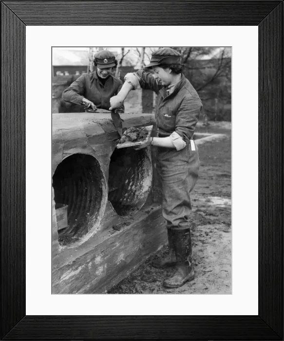 Framed Print : Army Women. A. T. S. Cooks seen here building a training tunnel an assault course Framed Print : Army Women. A. T. S. Cooks seen here building a training tunnel an assault course