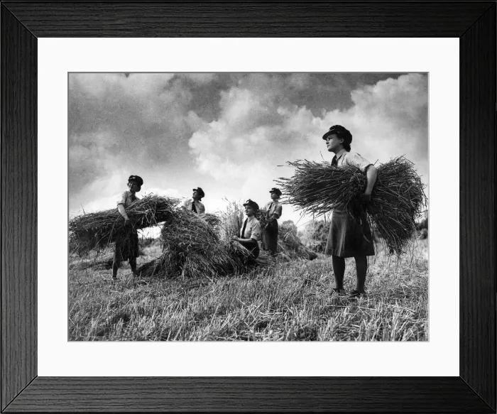 Framed Print : Members of the W. A. A. Fs gathering in the countryside around Gloucester Framed Print : Members of the W. A. A. Fs gathering in the countryside around Gloucester
