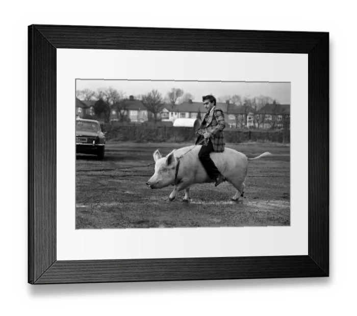 Framed Print : Animals: Humour. Porker Walker. Thorsten Kohrmann with Anna his performing pig between