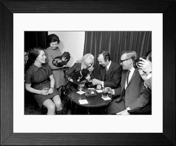 Framed Print : Humour: Unusual: Animals: Bears visits pub. December 1971 71-11988-001 Framed Print : Humour: Unusual: Animals: Bears visits pub. December 1971 71-11988-001