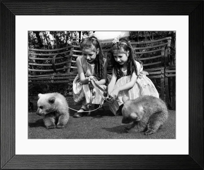 Framed Print : Lucky eight-year-old twins Allison left and Angela Kerwin of Stanmore, Middx Framed Print : Lucky eight-year-old twins Allison left and Angela Kerwin of Stanmore, Middx