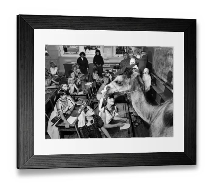 Framed Print : Carnival time. The children of Broad Lane Middle School, Bramley, nr