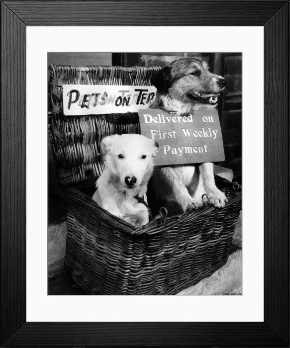 Framed Print : There are so many things you can buy on the never-never nowadays and in the North East Framed Print : There are so many things you can buy on the never-never nowadays and in the North East