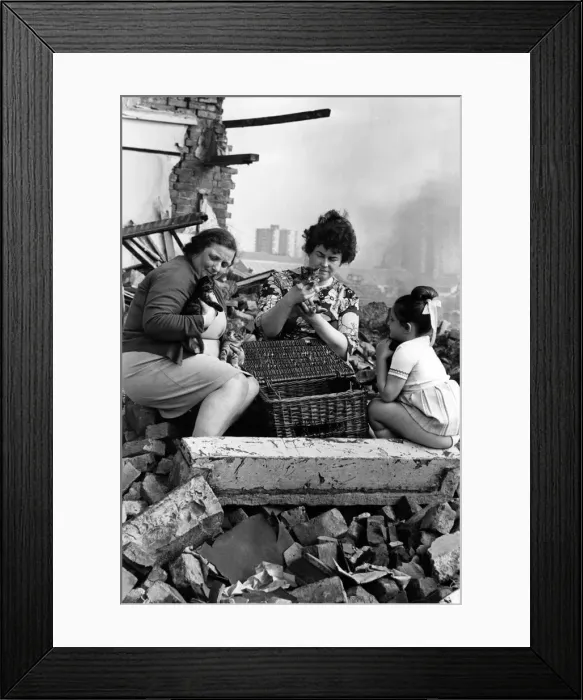 Framed Print : Two Salford women rescue kittens, cats and dogs from demolition areas Framed Print : Two Salford women rescue kittens, cats and dogs from demolition areas