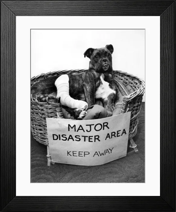 Framed Print : Major by nameaand a major disaster area by experience. That