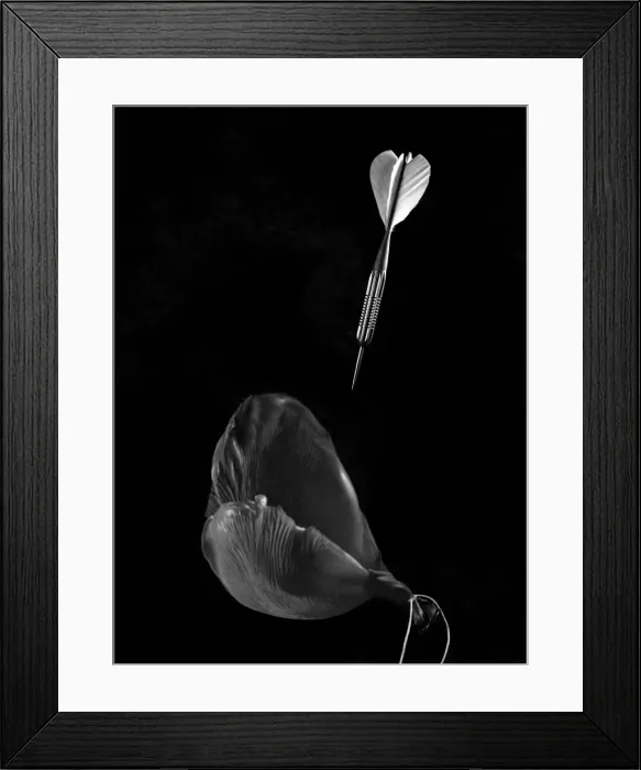 Framed Print : Death of a Balloon. Limp, Shattered, lifeless. November 1947 P004782 Framed Print : Death of a Balloon. Limp, Shattered, lifeless. November 1947 P004782
