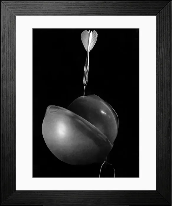 Framed Print : Death of a Balloon: It opens out, nearing its end, the sharp point neatly paring it Framed Print : Death of a Balloon: It opens out, nearing its end, the sharp point neatly paring it