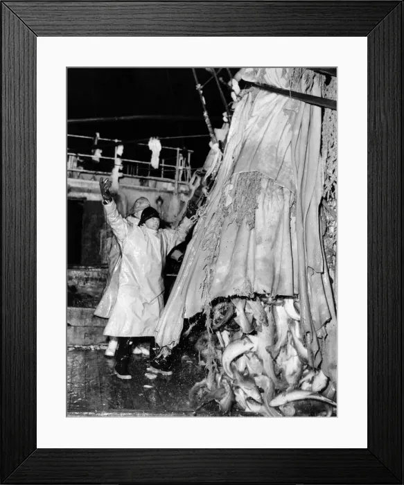 Framed Print : Time to forget freezing conditions and frayed tempers, there