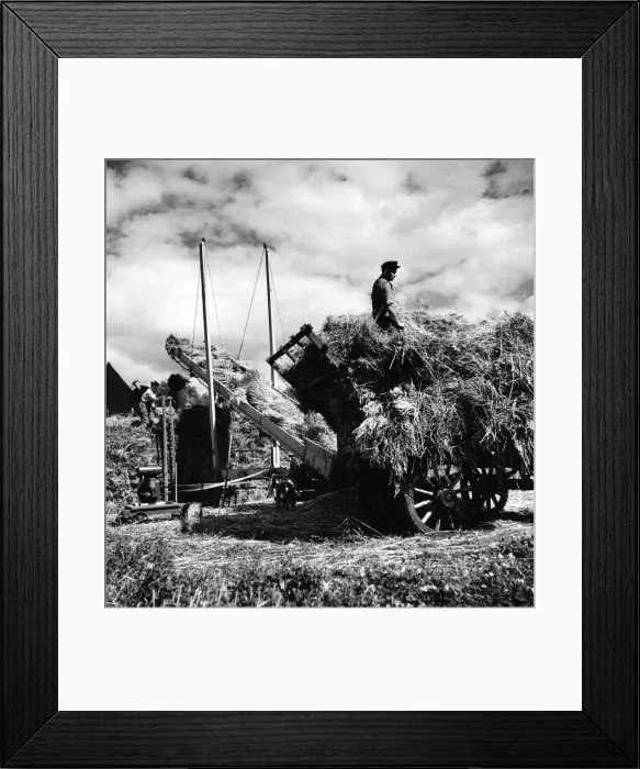 Framed Print : Harvest scenes at a farm near Hemel Hemstead, Hertfordshire Framed Print : Harvest scenes at a farm near Hemel Hemstead, Hertfordshire