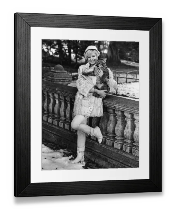 Framed Print : Glen Macvean wears forty-five pounds worth of mushroom dyed half length Kid Paw as she Framed Print : Glen Macvean wears forty-five pounds worth of mushroom dyed half length Kid Paw as she