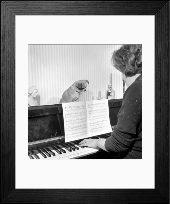 Framed Print : Mrs Taylor playing the piano with her pet dog Neddy'. 1965 Framed Print : Mrs Taylor playing the piano with her pet dog Neddy'. 1965