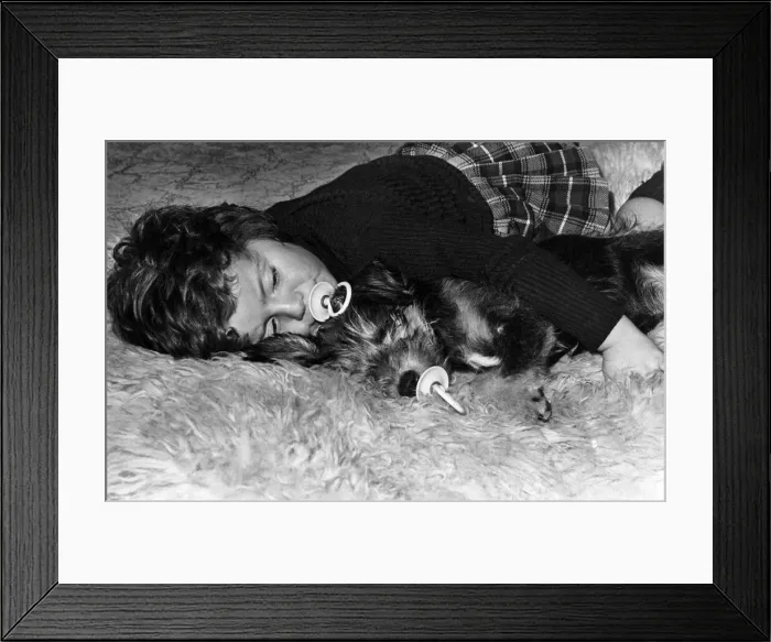 Framed Print : A real sucker for comfort is Zebedee the pup. He got the dummy habit from three-year-old Framed Print : A real sucker for comfort is Zebedee the pup. He got the dummy habit from three-year-old