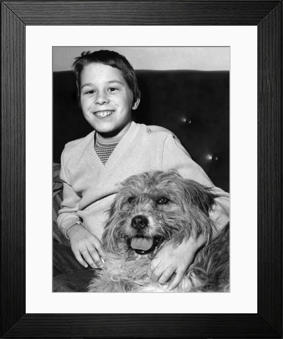 Framed Print : Thanks Chum. Nicky gives his pet William a hug. December 1980 P006092 Framed Print : Thanks Chum. Nicky gives his pet William a hug. December 1980 P006092