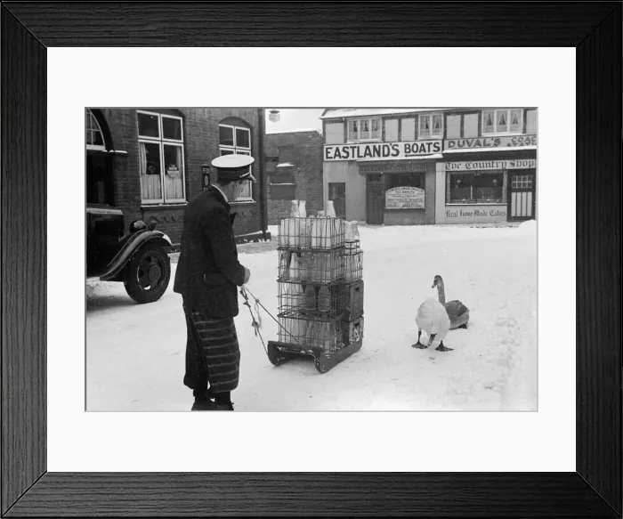 Framed Print : The heavy fall of snow overnight sees the milkman delivering his milk by sledge Framed Print : The heavy fall of snow overnight sees the milkman delivering his milk by sledge