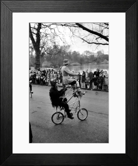 Framed Print : Gentleman in fancy dress seen here riding an unusual tandam bicycle in the Easter parade