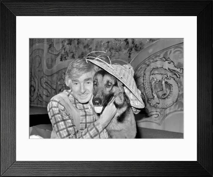 Framed Print : Animals. Dogs. Humour: Panto Pooch. Crosby': Crosby Framed Print : Animals. Dogs. Humour: Panto Pooch. Crosby': Crosby
