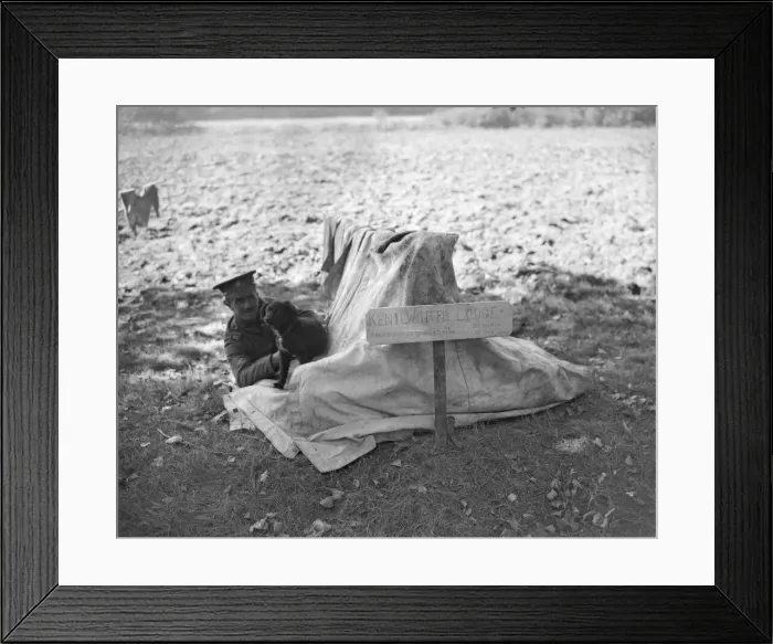 Framed Print : Army Service Corps France October 1914 The unsung heroes of the British army during Framed Print : Army Service Corps France October 1914 The unsung heroes of the British army during