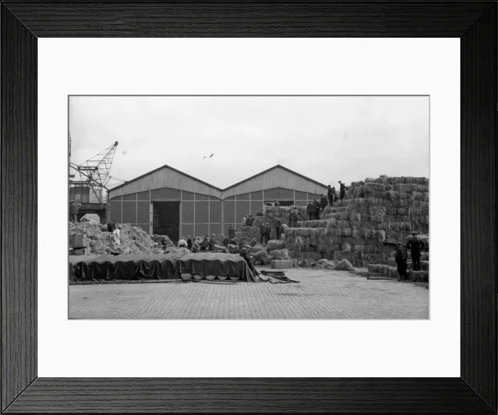 Framed Print : British Army stockpile feed and hay for their horses on a Boulogne dockside before