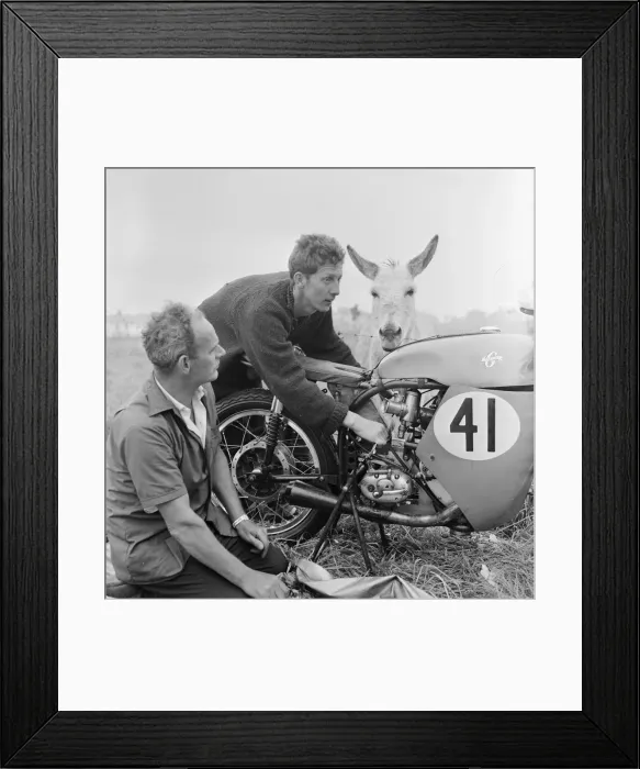 Framed Print : Isle of Man TT Races. Bill Hawthorne and his mechanic Pat Lynch tuning up his BSA