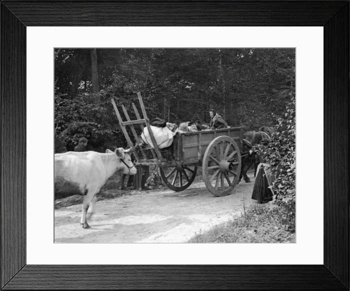 Framed Print : Refugees from the advancing German Army seen here on the road to Brussels Framed Print : Refugees from the advancing German Army seen here on the road to Brussels