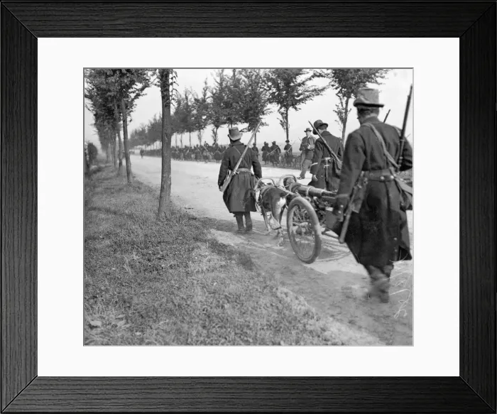 Framed Print : Belgian Carabiners and their gun dog teams seen here falling back to Brussels after Framed Print : Belgian Carabiners and their gun dog teams seen here falling back to Brussels after
