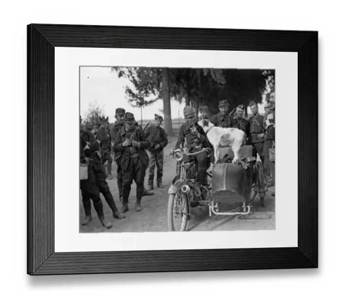 Framed Print : Prusco, a Belgian police dog, leaves for the front with the French Army Framed Print : Prusco, a Belgian police dog, leaves for the front with the French Army