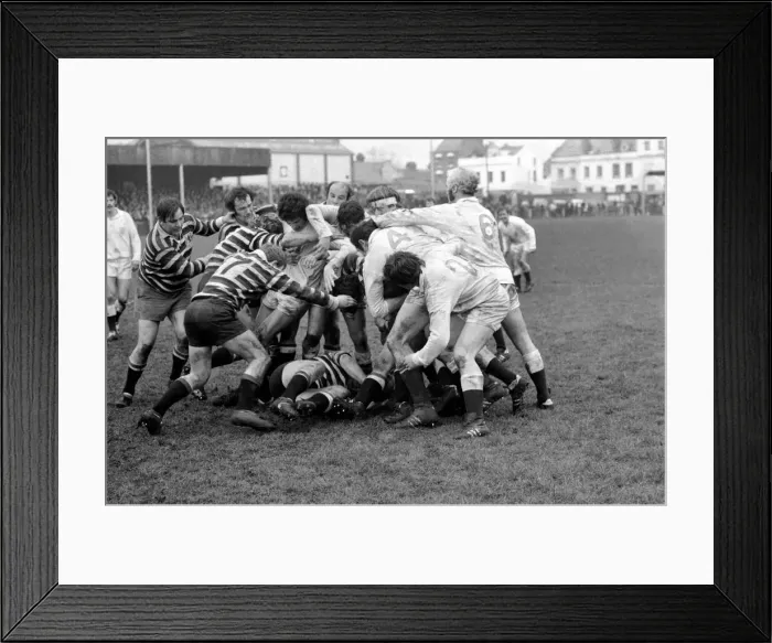 Framed Print : A ruck during the Gloucester v. Somerset rugby match. January 1972 72-0240-004