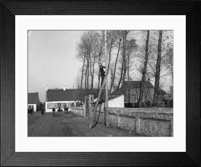 Framed Print : Belgian army telephone engineer seen here repair the phone lines to the armys Framed Print : Belgian army telephone engineer seen here repair the phone lines to the armys