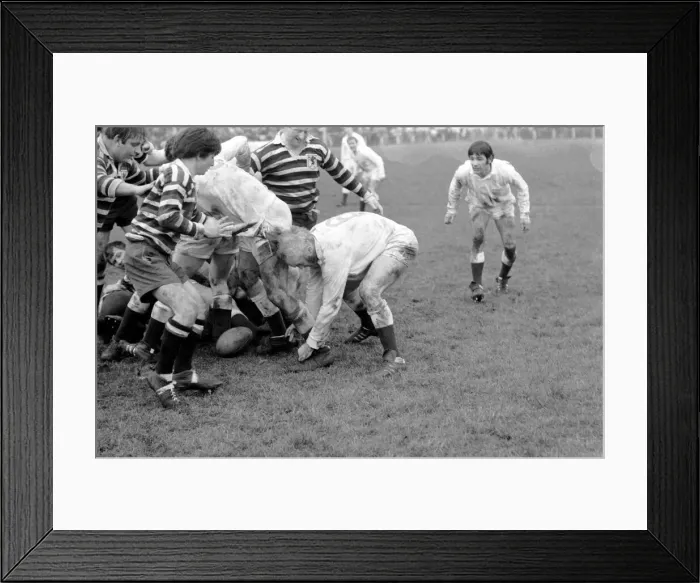 Framed Print : Action from the Gloucester v Somerset rugby match. January 1972 72-0240-006 Framed Print : Action from the Gloucester v Somerset rugby match. January 1972 72-0240-006