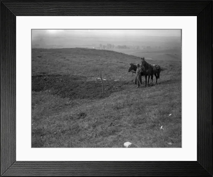 Framed Print : A lone Russian soldier stands by a mass grave in Galicia where the bodies of fifty