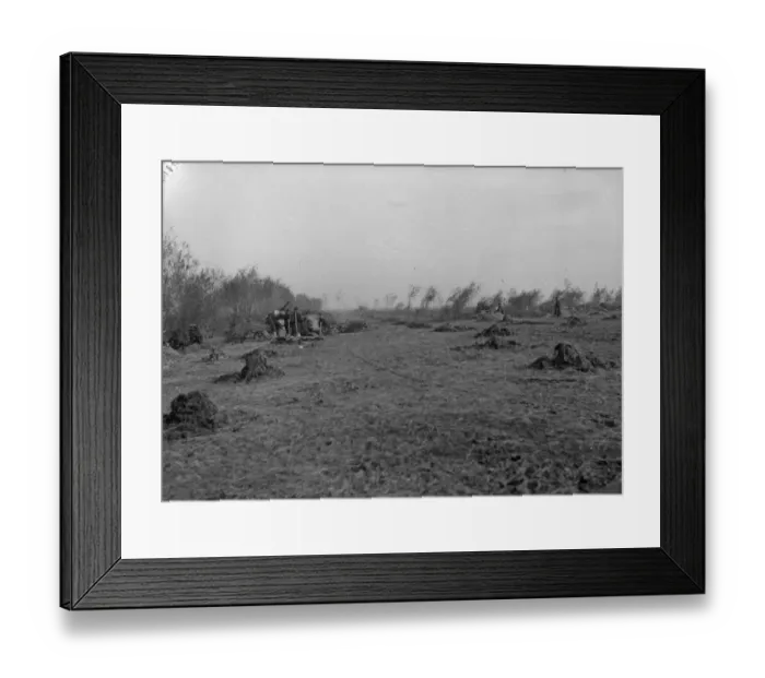 Framed Print : Belgian field artillery seen here in action at Oostkerke near Diksmuide during the Battle Framed Print : Belgian field artillery seen here in action at Oostkerke near Diksmuide during the Battle